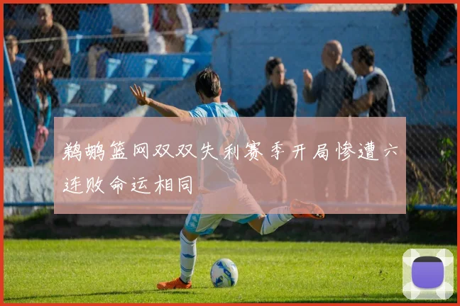 鹈鹕篮网双双失利赛季开局惨遭六连败命运相同