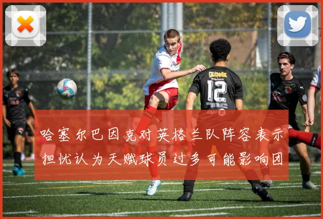 哈塞尔巴因克对英格兰队阵容表示担忧认为天赋球员过多可能影响团队合作