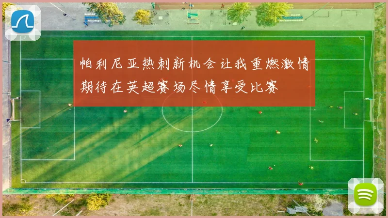 帕利尼亚热刺新机会让我重燃激情期待在英超赛场尽情享受比赛